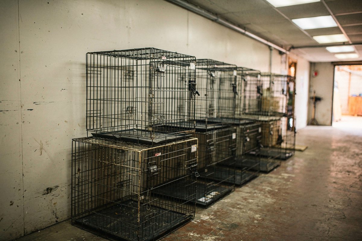 Folded wire crates stacked in a storage room